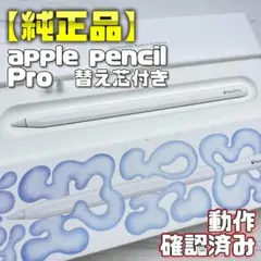 動作確認済み【純正品】Apple Pencil Pro 本体＋替え芯2本＋箱付き