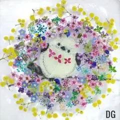 押し花素材　ミニミニ小花セット　アリッサム　忘れな草