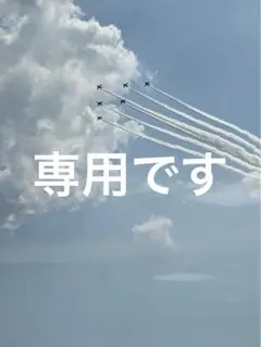専用です