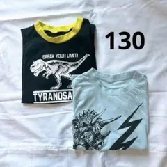 130cm 恐竜デザイン Tシャツ 2枚セット
