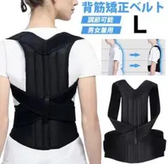 Item thumbnail for item 55f72f20-04bd-49c0-b564-8085cb460428