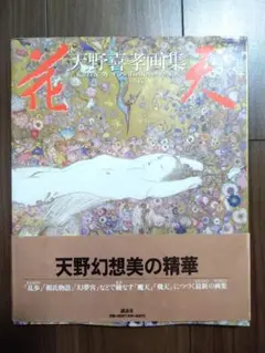 2025年最新】天野喜孝 花天の人気アイテム - メルカリ
