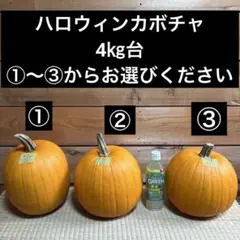 Item thumbnail for item 25c3bd24-81be-428f-9862-61d96c4ccbf2