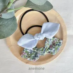 Item thumbnail for item 836c456e-37e4-4f60-83aa-7be64a7ee920