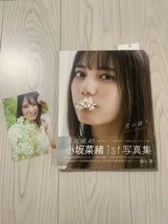 小坂菜緒1st写真集 日向坂46