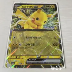 ポケモンメガスタンプラリー ジャンボカード