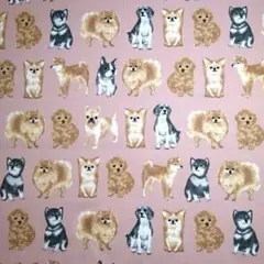 141 カットクロス 生地 犬柄 犬いっぱい ピンク 113✕50