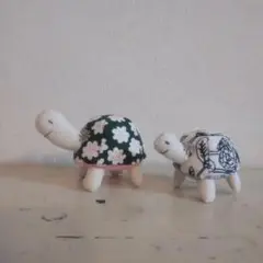 ミナペルホネン 「はたちの集い」の案内が届いたカメさん 20年てあっという間だね