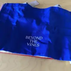 BEYONDTHEVINES トートバッグ　ビョンズザバィンズ　ショッパートート