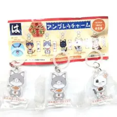 はま寿司　はまっこセット　ラーメン赤猫　アンブレラチャーム　ハナ1点・佐々木2点