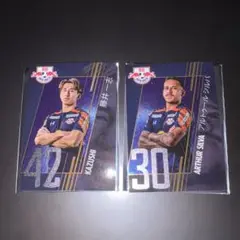 RB 大宮アルディージャ選手カード 藤井一志 & アルトゥール・シルバ