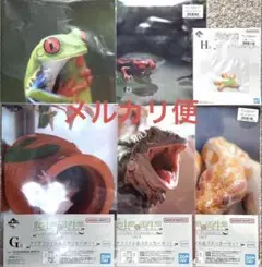 一番くじ 爬虫類&両生類 クリアファイル&ステッカーセット ラバーコレクション