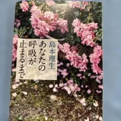 あなたの呼吸が止まるまで 島本理生 島本理生