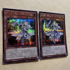 匿名配送　教導の聖女エクレシア　ROTD-JP005　初版シク2枚組