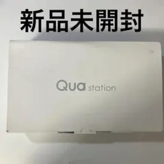 新品未開封　KDDI QUA STATION KTS31 au ストレージ
