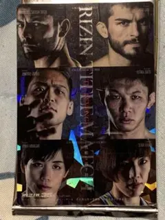 RIZINポテトスティックポスターカードコレクションNo.14 RIZIN.35