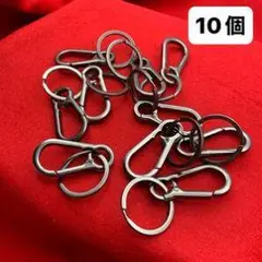 カラビナ式キーホルダー 10個セット