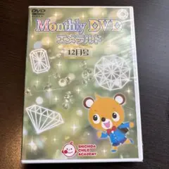 値下げしちだマンスリーDVDルビー4、5、6、7、9、10、11、12月号セット 七田式 Monthly DVD ルビー 七田チャイルドアカデミー しちだ