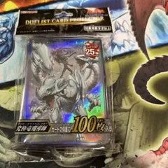 究極竜魔導師　デュエリストカードプロテクター　スリーブ　100枚　未開封