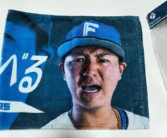 佐藤龍世 北海道日本ハムファイターズ フェイスタオル ここで、挑む。　未使用品