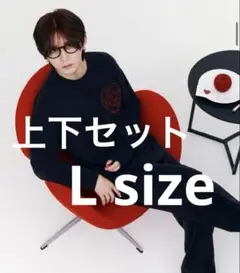 Item thumbnail for item 498e4c45-623c-4496-9522-0cb1de806246