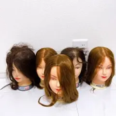 カットウィッグ 5体セット