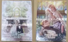 【匿名配送】この結婚はどうせうまくいかない　クリアファイル　2点