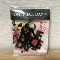ONEPIECE DAY 2025 ロゴキーホルダー
