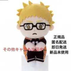ハイキュー ちょっこりさん ぬいぐるみ マスコット 月島蛍