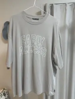 ZARA EARLY ACCESS Tシャツ XL