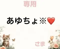 専用