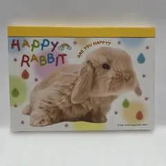 HAPPY RABBIT メモ　うさぎちゃん　平成レトロ　メモ帳　2003年当時