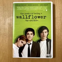 ウォールフラワー　DVD