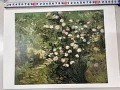 Item thumbnail for item eea9f32e-24b5-4593-959b-6e5116204fd0