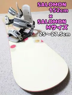 SALOMON TRANSFER スノーボードブーツ 45 サロモン　29センチ SALOMON TRANSFER スノーボードブーツ 45 サロモン 29センチ