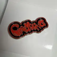 TWICE ランダム ピンバッジ チェヨン