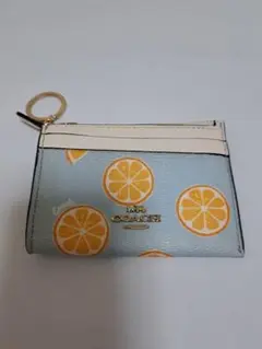 Item thumbnail for item 228f958c-8ba0-4b2e-aaeb-493b8a830ac9