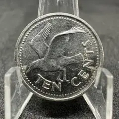 2023年　バルバドス　ペリカン銀貨　first strike m71725216127_1.jpg?1730093975