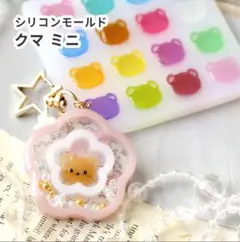 くま(ミニ)シリコンモールド