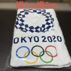 Item thumbnail for item 515a772f-f039-44fa-9761-e5dccf0f04cb