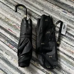 Item thumbnail for item 6afaa19a-ce10-42ff-b120-53590e34a038