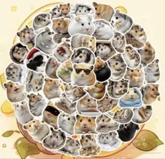 Item thumbnail for item ef142463-bf58-4e03-b26a-c5d82c3abce6