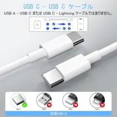 USB C ケーブル 2M PD対応 100w5A データ転送 高耐久性