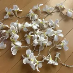 プルメリアのライト