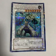 遊戯王 ナチュルランドオルス シークレット DT