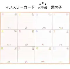 マンスリーメモ　男の子　ましかくアルバム　アルバス　月齢カード　出生記録　百日