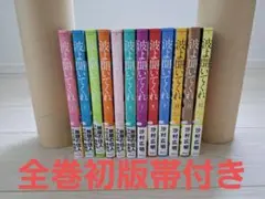 波よ聞いてくれ 全12巻セット