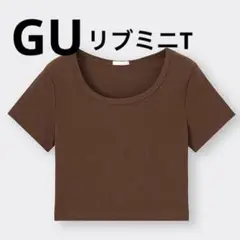 サイト完売商品！　リブミニT（半袖）ダークブラウン M