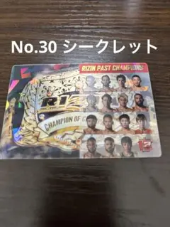 RIZINポテトスティックポスターカードコレクション No.30 シークレット