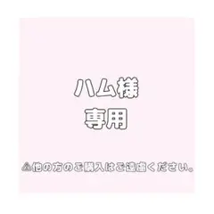 専用ページ